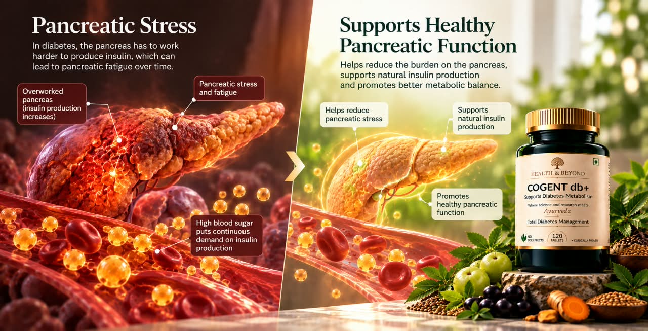 Pancreatic stress: an overworked pancreas under constant demand for insulin. Beside it, healthy pancreatic function, with a bottle of Cogent Diabetes+
