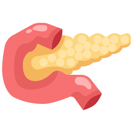 Pancreas Response