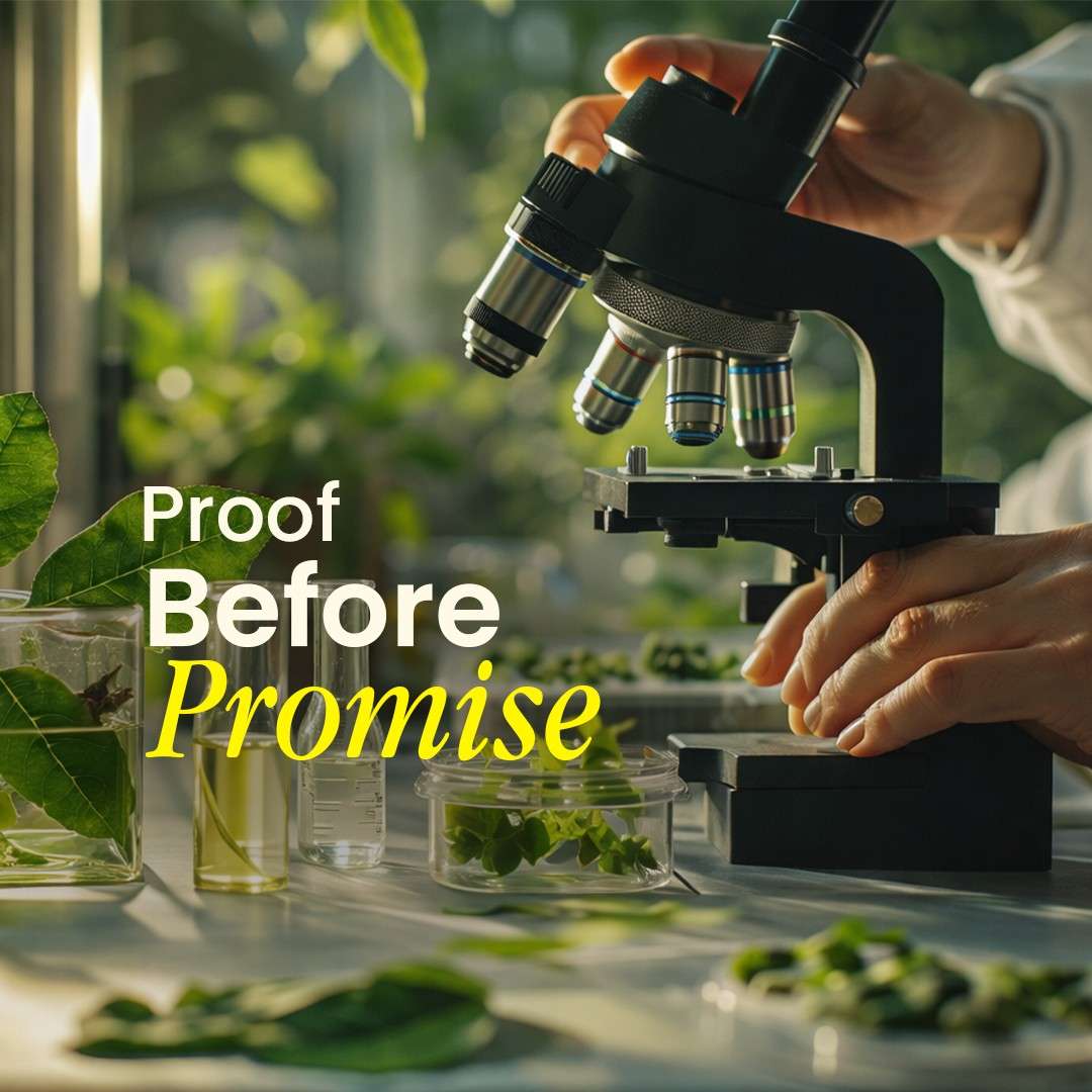 Ancient palm-leaf manuscripts