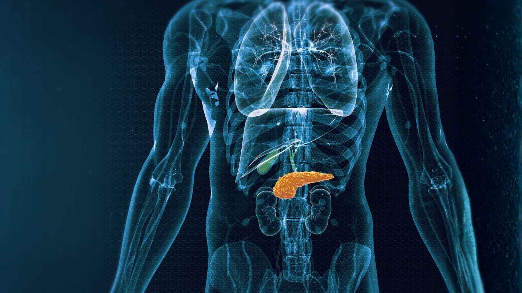 Reduces stress on the pancreas