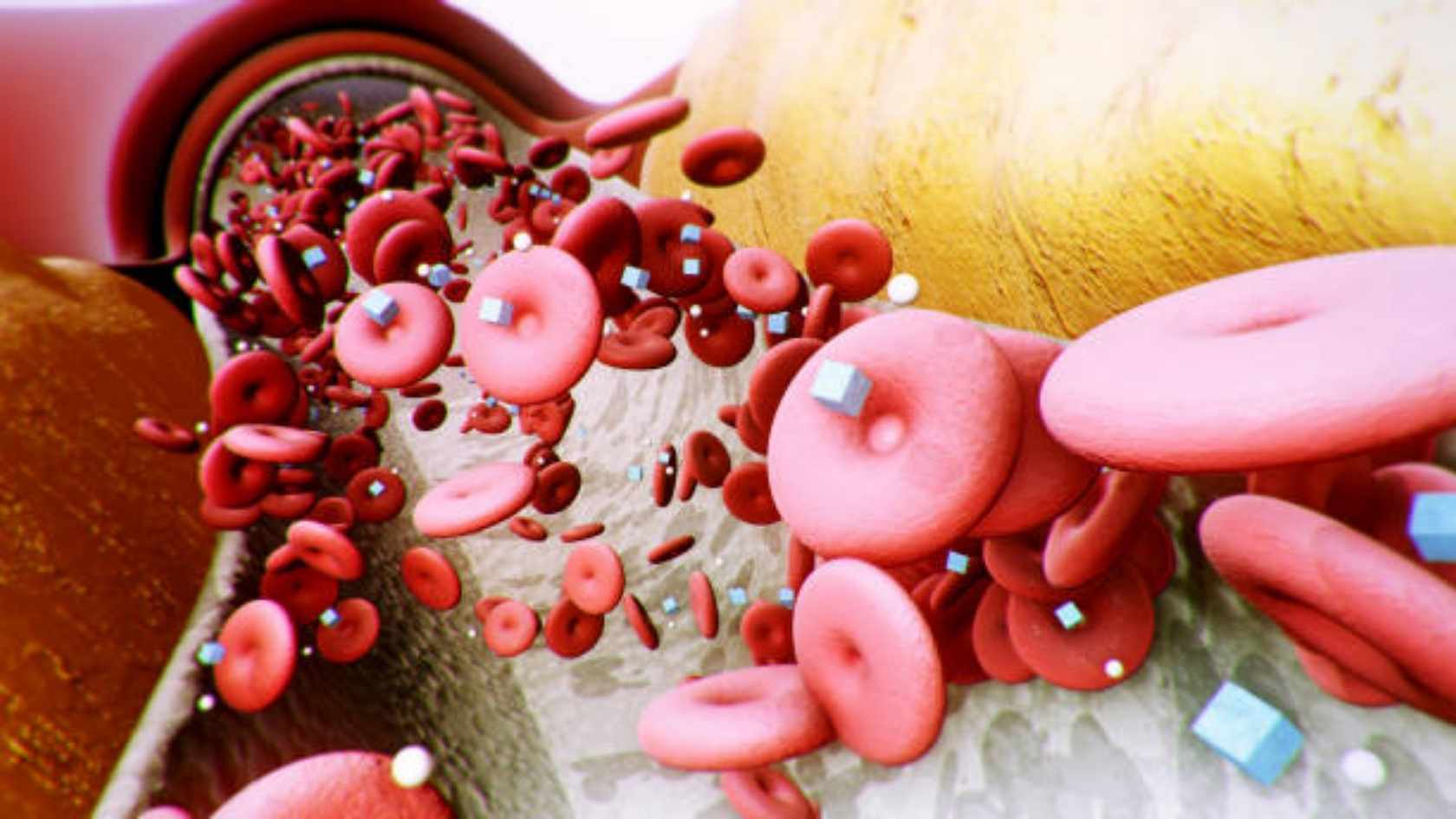 Supports cellular glucose uptake